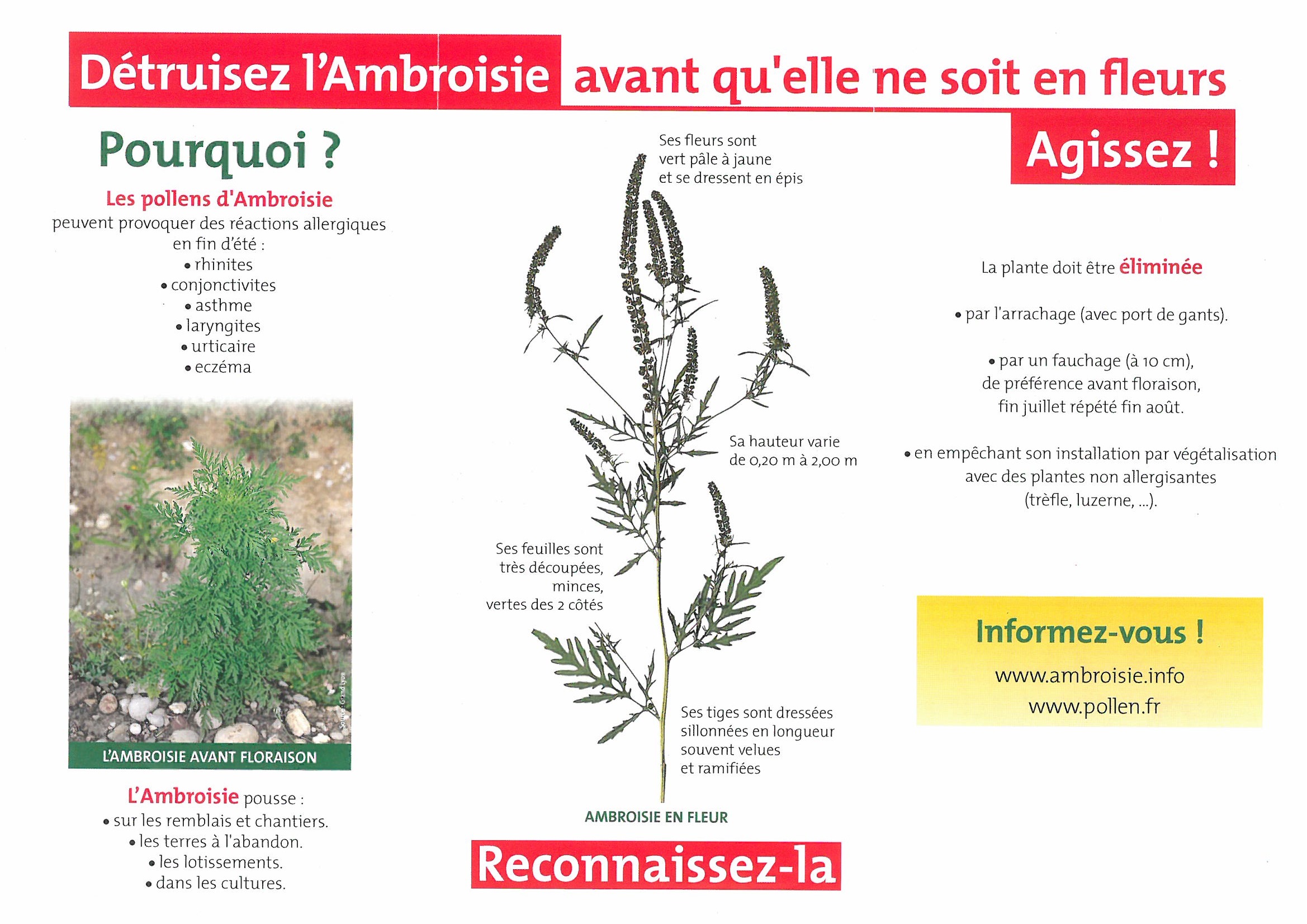 flyer-1